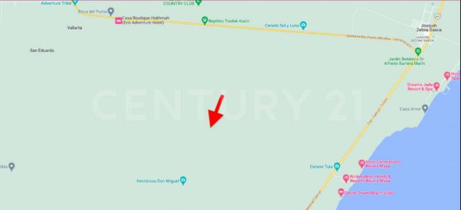1 1,, Puerto Morelos, Quintana Roo 77580, Mexico
