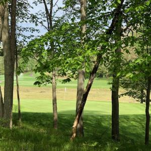 8981 - 8975 Whispering Lane Lots 234-235, Canadian Lakes, 密西根州 49346, 美國