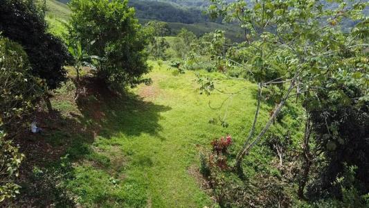 Barú Pérez Zeledón, San José 11901, Costa Rica