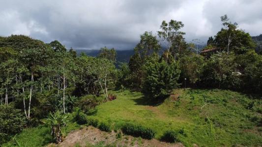 Barú Pérez Zeledón, San José 11901, Costa Rica