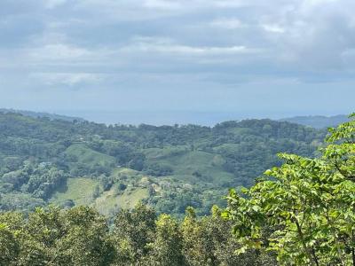 Barú Pérez Zeledón, San José 11901, Costa Rica