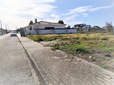 Marinha Grande, Лейрия 2430-187, Португалия