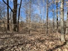 0 Old Tobaccoport Rd, Bumpus Mills, 田纳西州 37028, 美国