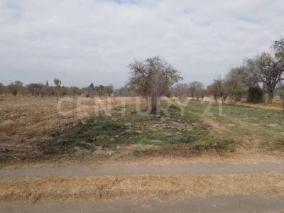 Venta de terreno de 1,660 m2 rustico excelente ubicación. a 500 metros de Jurisdicción Sanitaria No. 5.,, Huejotzingo, Puebla 74160, Mexico