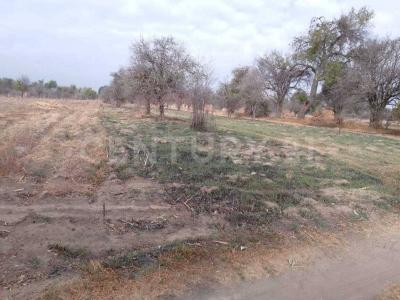 Venta de terreno de 1,660 m2 rustico excelente ubicación. a 500 metros de Jurisdicción Sanitaria No. 5.,, Huejotzingo, Puebla 74160, Messico