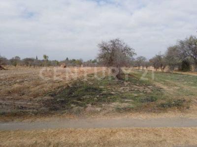 Venta de terreno de 1,660 m2 rustico excelente ubicación. a 500 metros de Jurisdicción Sanitaria No. 5.,, Huejotzingo, Puebla 74160, Messico