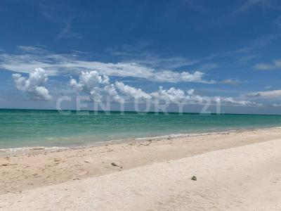 PRIVADA MARAMAR 11,, Hunucma, Yucatán 97355, México