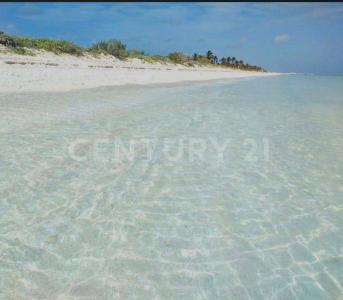 PRIVADA MARAMAR 11,, Hunucma, Yucatán 97355, México
