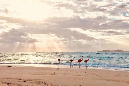 PRIVADA MARAMAR 11,, Hunucma, Yucatán 97355, México