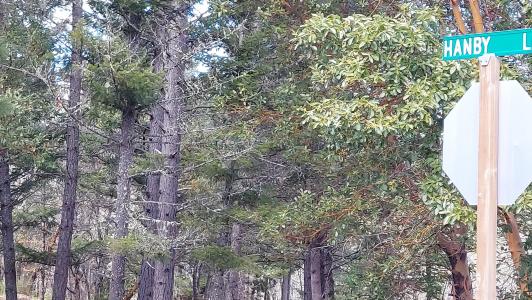 000 Redwood Highway, Cave Junction, Oregon 97523, USA