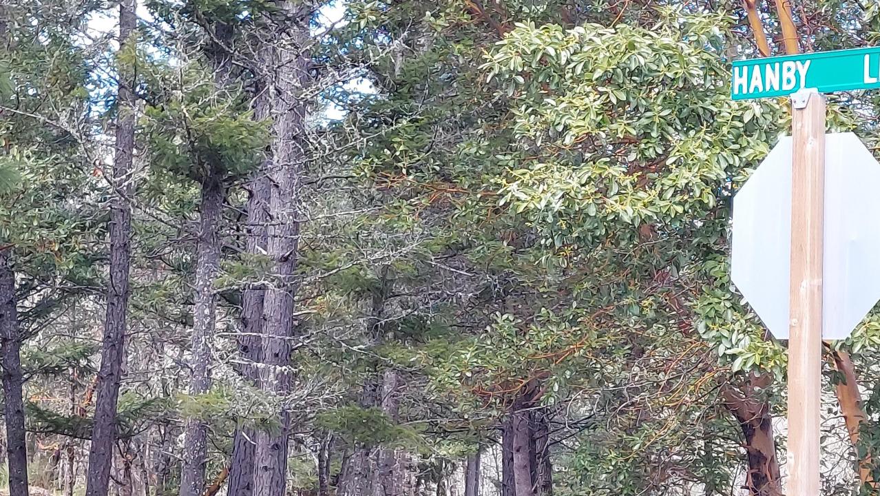 000 Redwood Highway, Cave Junction, אורגון 97523, ארצות הברית של אמריקה 