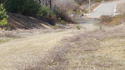 000 Redwood Highway, Cave Junction, אורגון 97523, ארצות הברית של אמריקה 