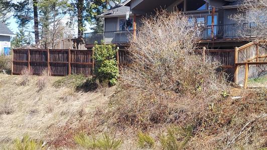 000 Redwood Highway, Cave Junction, אורגון 97523, ארצות הברית של אמריקה 