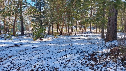 000 Redwood Highway, Cave Junction, אורגון 97523, ארצות הברית של אמריקה 