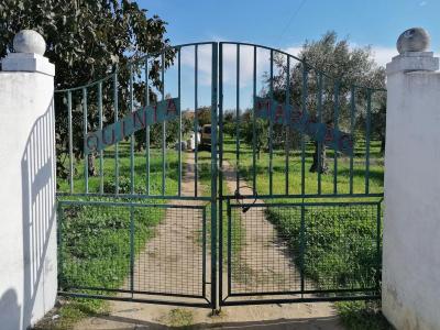 Reguengos de Monsaraz, Évora 7200-372, Portugal