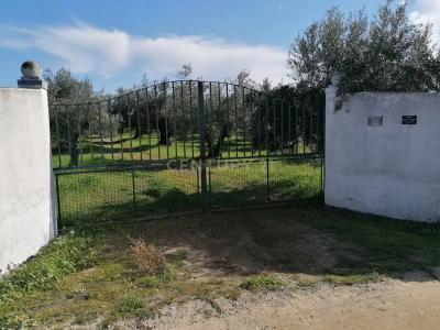 Reguengos De Monsaraz, Évora 7200-372, Portugal