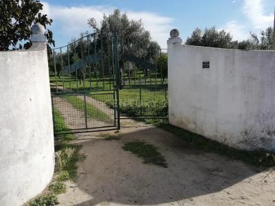 Reguengos De Monsaraz, Évora 7200-372, Portugal