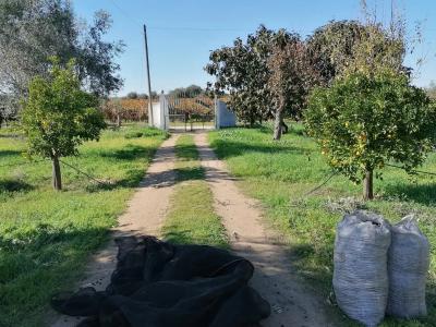 Reguengos De Monsaraz, Évora 7200-372, Portugal