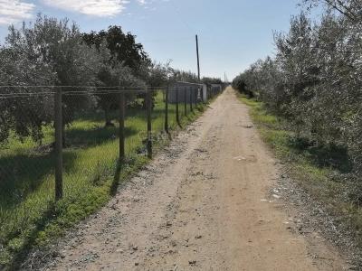 Reguengos De Monsaraz, Évora 7200-372, Portugal
