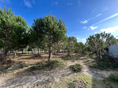 Leiria, Leiria 2425-022, Portugal