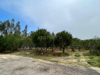 Leiria, Leiria 2425-022, Portogallo