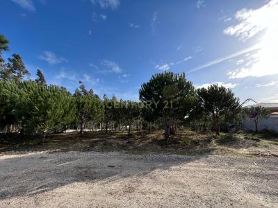 Leiria, Leiria 2425-022, Portogallo