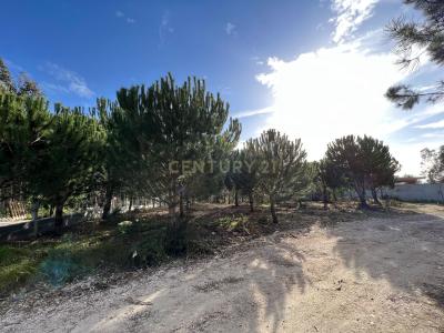 Leiria, Leiria 2425-022, Portogallo