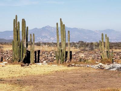 REAL HACIENDA 1800 LOTE 6 MZ VII DE LA 5A SECCION,, Huichapan, 伊達爾戈 42400, 墨西哥