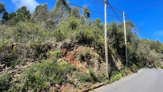 Santa Cruz, Madeira 9135-370, Portugal