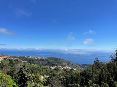 Santa Cruz, Madeira 9135-370, Portugal