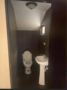 , Desamparados Central, Alajuela 00001, 哥斯達尼加