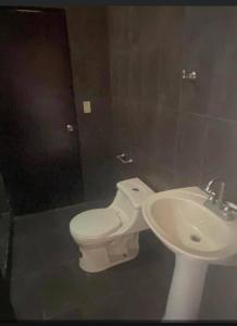 , Desamparados Central, Alajuela 00001, 哥斯達尼加