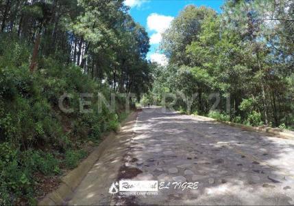 Ruta turistica sierra del tigre, mazamitla 36D MZ 5,, Valle De Juárez, Jalisco 49540, Mexico