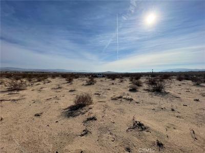 0 Mesquite Springs Road, 29 Palms, Californie 92277, États-Unis