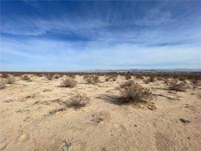 0 Mesquite Springs Road, 29 Palms, Californie 92277, États-Unis