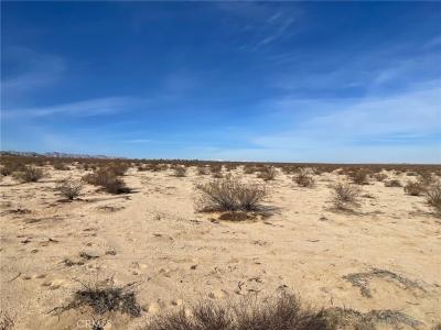 0 Mesquite Springs Road, 29 Palms, Californie 92277, États-Unis