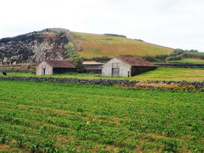Ribeira Grande, Ilha De São Miguel 9600-161, Portugal