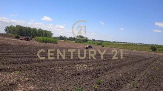 Canelones, Canelones 15900, Uruguay