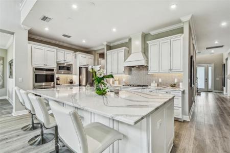 2686 Yacht Place, Wesley Chapel, Florida 33543