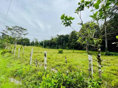Punta Uva Puerto Viejo Talamanca, Limón 70403, Коста-Рика