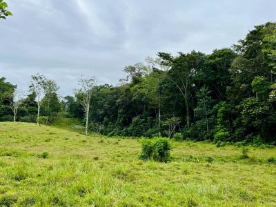 Punta Uva Puerto Viejo Talamanca, Limón 70403, Коста-Рика