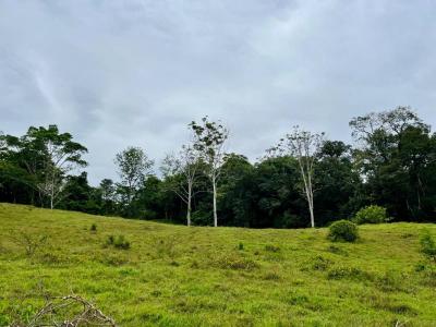 Punta Uva Puerto Viejo Talamanca, Limón 70403, Коста-Рика