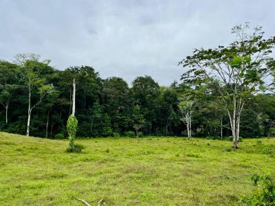Punta Uva Puerto Viejo Talamanca, Limón 70403, Коста-Рика