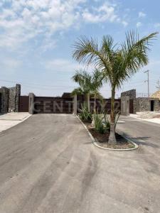 Fraccionamiento II 11,, Atlatlahucan, Morelos 62845, Mexico