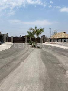 Fraccionamiento II 11,, Atlatlahucan, Morelos 62845, Mexico