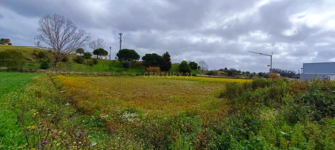 Montemor O Velho, Coimbra 000, Portogallo