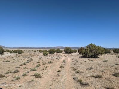 Xxx Off Jolly Road, Seligman, Arizona 86337, États-Unis