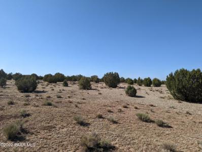 Xxx Off Jolly Road, Seligman, Arizona 86337, États-Unis