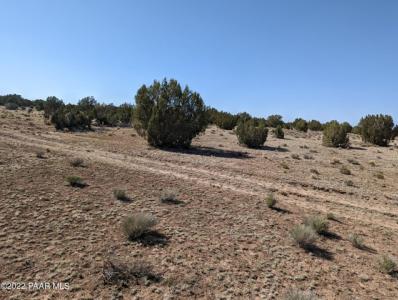 Xxx Off Jolly Road, Seligman, Arizona 86337, États-Unis
