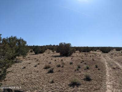 Xxx Off Jolly Road, Seligman, Arizona 86337, USA